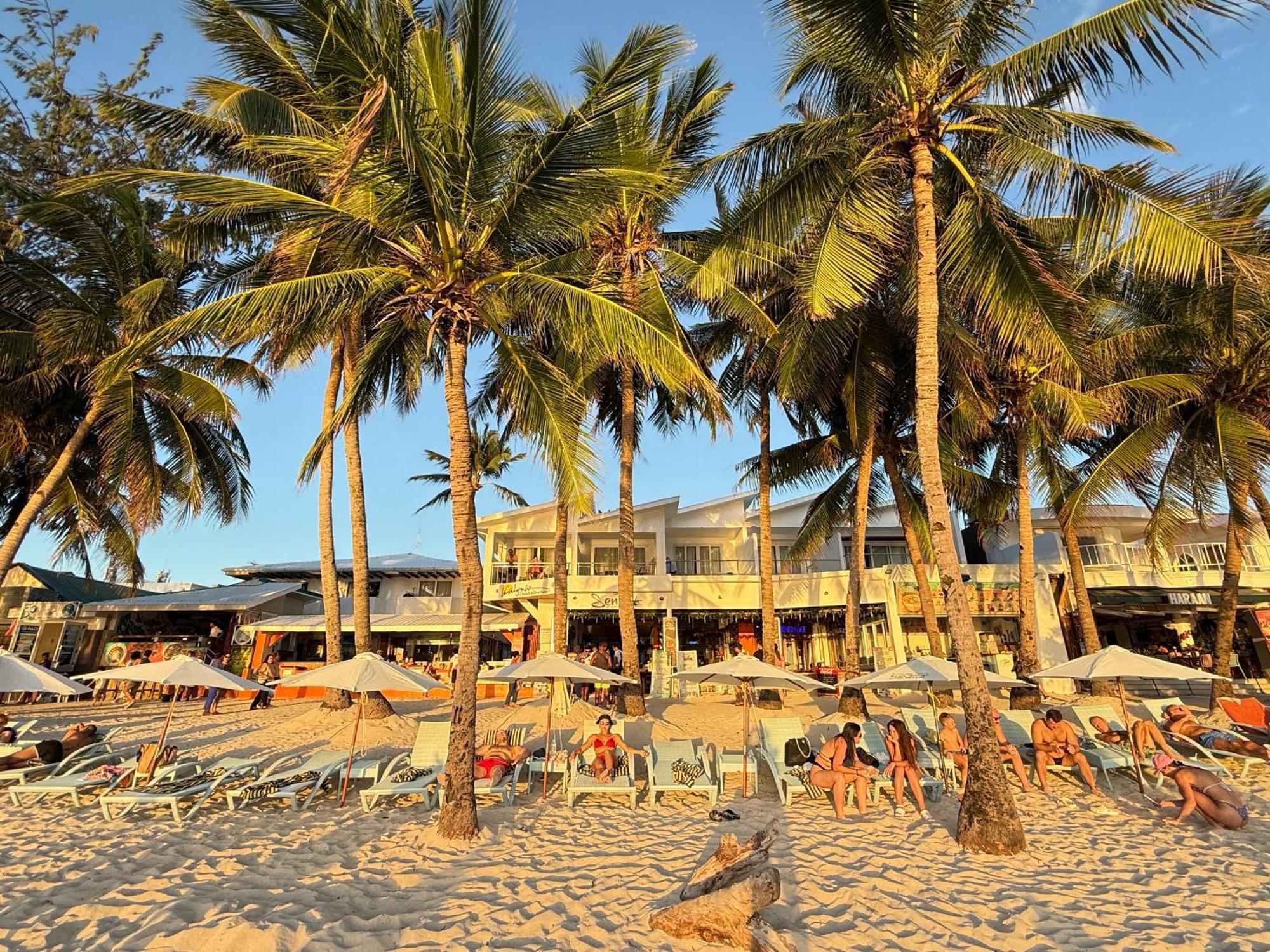 Manoc-Manoc Calypso Beach And Dive Resort מראה חיצוני תמונה